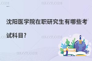 沈陽醫(yī)學院在職研究生有哪些考試科目?